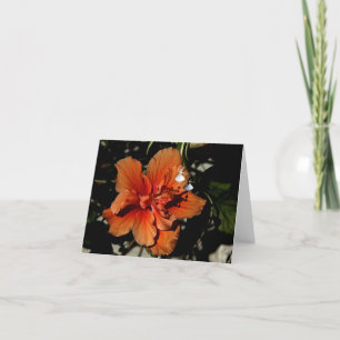 Orange Hibiscus Shadow Fairy Card
