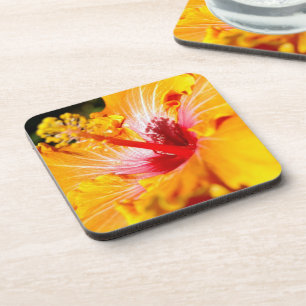 Orange Hibiscus Side View Coaster