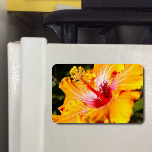 Orange Hibiscus Side View Magnet