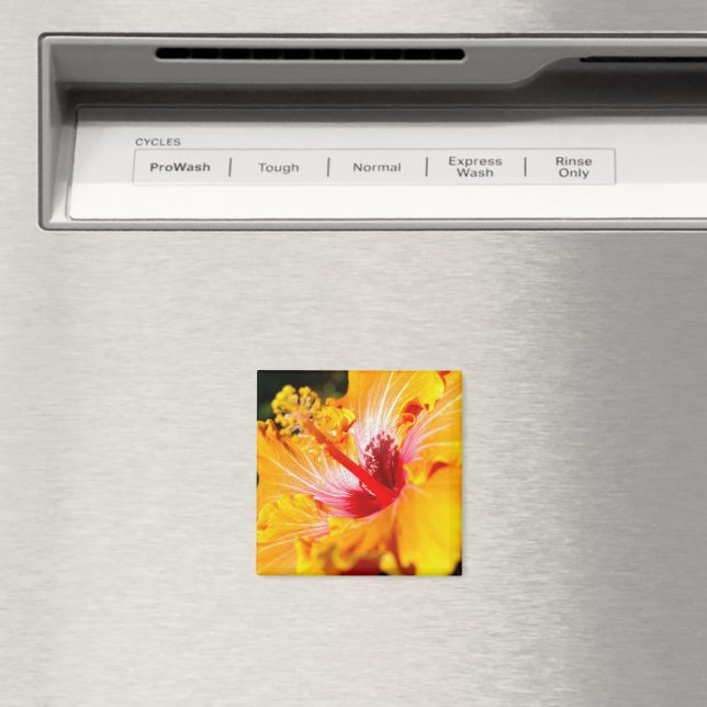 Orange Hibiscus Side View Magnet (In Situ (Dishwasher))