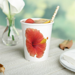 Orange Hibiscus Tropical Flower Paper Cups