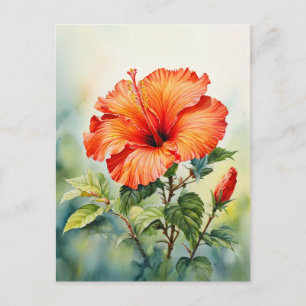 Orange Hibiscus Watercolor Flower Custom Message Postcard