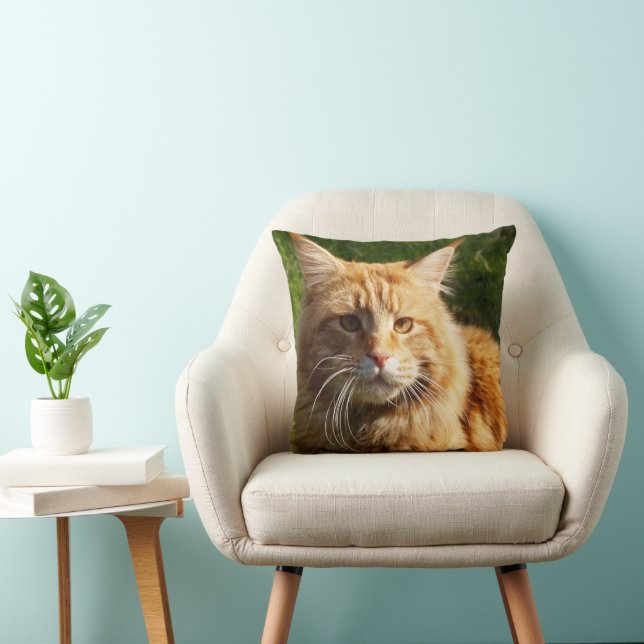Orange House Cat Cushion (Chair)