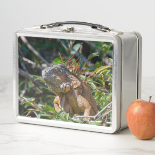 Orange Iguana, Wildlife Lizard Photography Metal Lunch Box