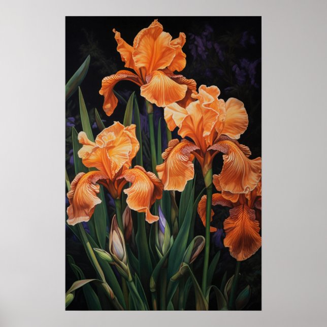 Orange Irises Flower Art Print Poster (Front)
