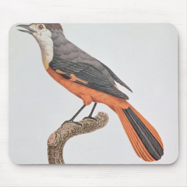 Orange Jay Mouse Pad (Front)
