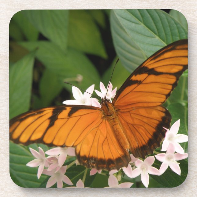 Orange Julia Butterfly Cork Coasters (Front)