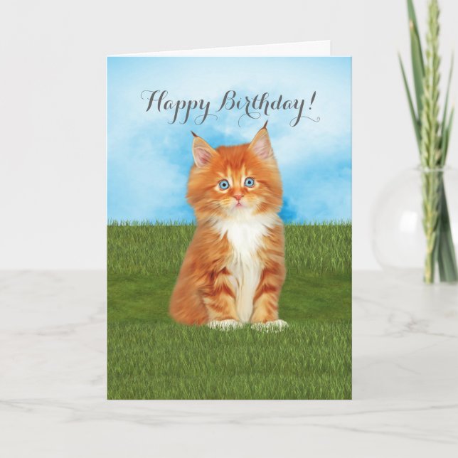 Orange Kitten Blue Eyes Birthday Card (Front)
