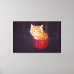 Orange Kitten In A Red Mug Canvas Print