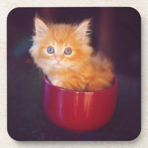 Orange Kitten In A Red Mug Coaster