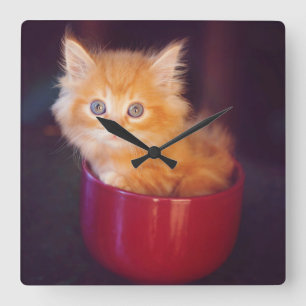 Orange Kitten In A Red Mug Square Wall Clock