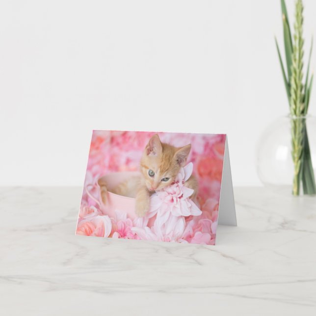 Orange Kitten Loki Pink Floral Blank Notecard (Front)