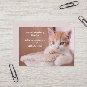 Orange Kitten Pet Care Appointment Business Card