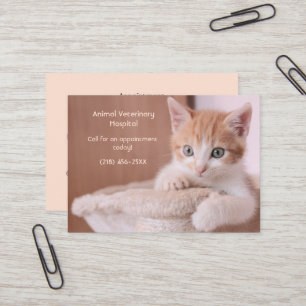 Orange Kitten  Pet Care Appointment  Business Card