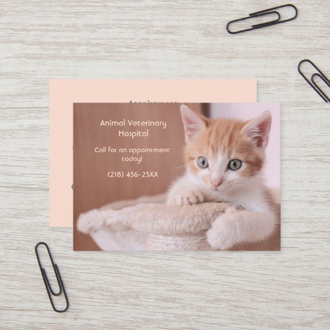 Orange Kitten  Pet Care Appointment  Business Card (Front/Back In Situ)