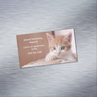 Orange Kitten Pet Care  Magnetic Business Card