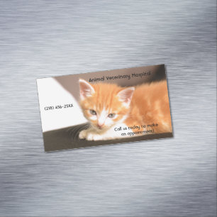 Orange Kitten Pet Care Services Appointment  Magnetic Business Card
