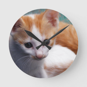 Orange Kitten Photograph Round Clock