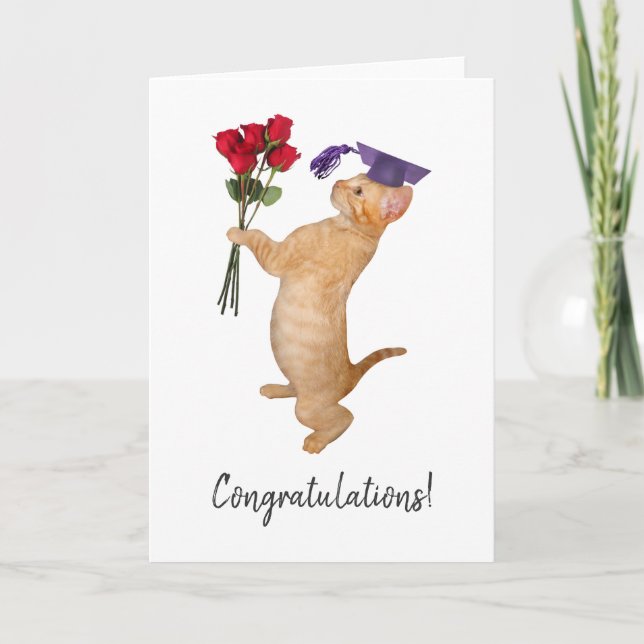 Orange Kitten with Red Roses Graduation Card (Front)