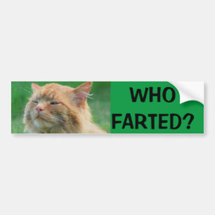 Orange Kitty asks Who Farted? Bumper Sticker