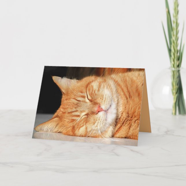 Orange Kitty Cat Cute Customisable Card (Front)