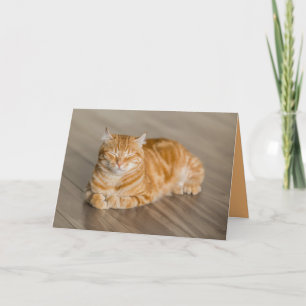 Orange Kitty Cat Cute Customisable Card