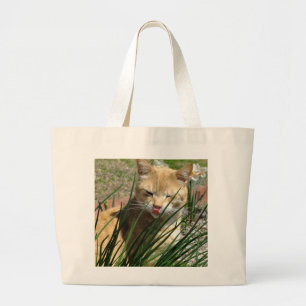 Orange Kitty Gives Raspberry Tote Bag
