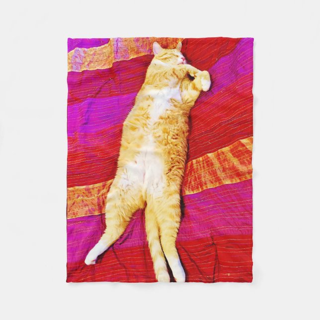 Orange kitty sleeping on red fleece blanket (Front)