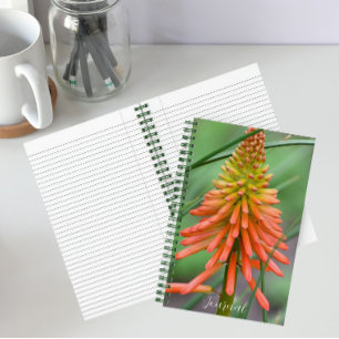 Orange Kniphofia Bloom Floral Notebook