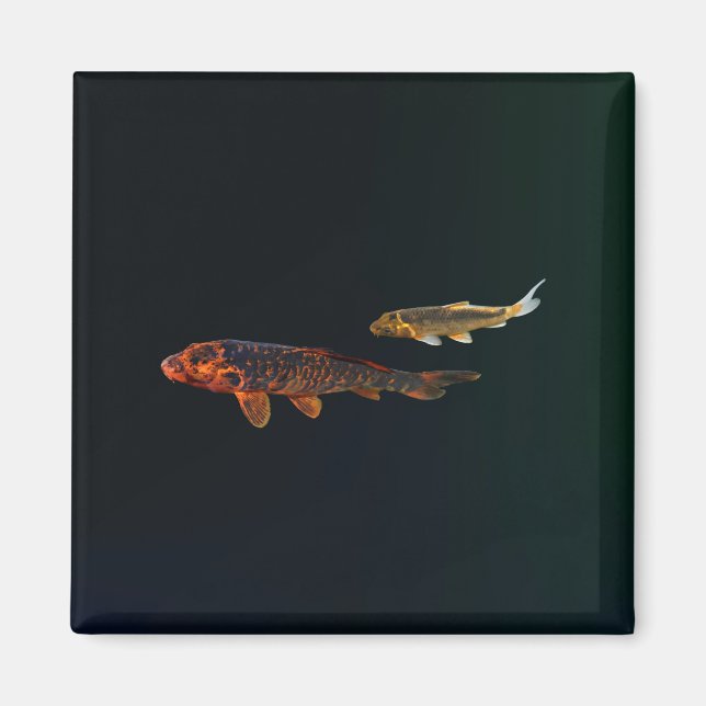 Orange Koi and Gold Koi Magnet (Front)