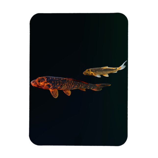 Orange Koi and Gold Koi Magnet (Vertical)