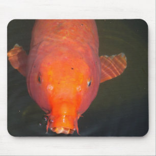 Orange Koi fish Postcard Mouse Pad