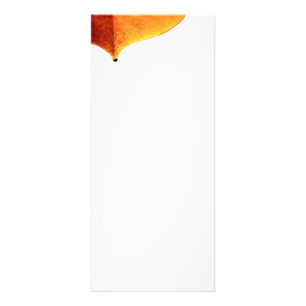 Orange Leave Rack Card
