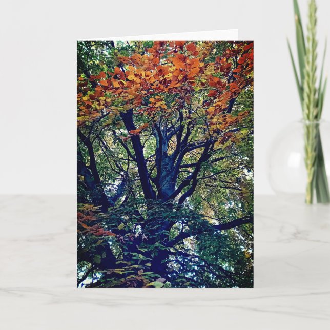 Orange leaves card (Front)