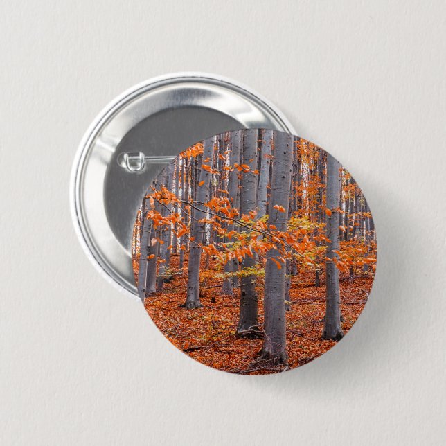 Orange Leaves Fall Forest Photo 6 Cm Round Badge (Front & Back)