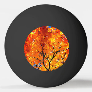 Orange leaves ping pong ball