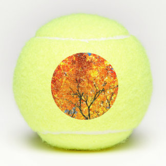 Orange leaves tennis balls