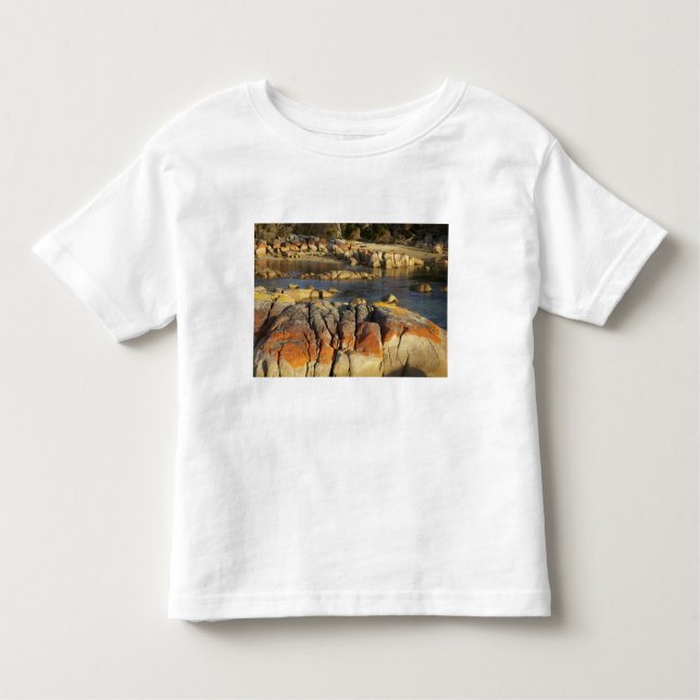 Orange Lichen on Rocks, Binalong Bay, Bay of Toddler T-Shirt (Front)
