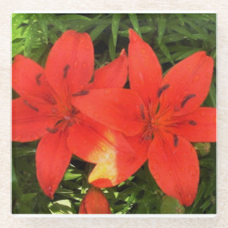 Orange Lilies Glass Coaster