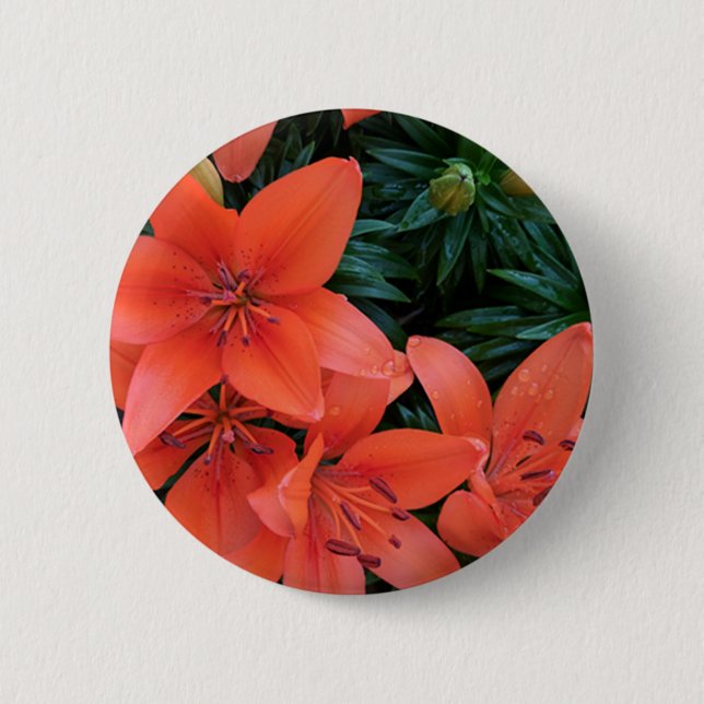 Orange Lily 6 Cm Round Badge (Front)