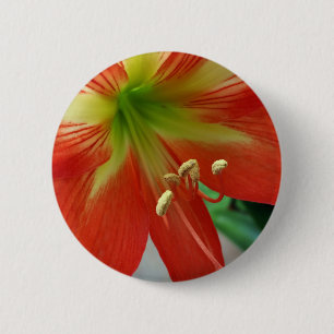 orange lily 6 cm round badge
