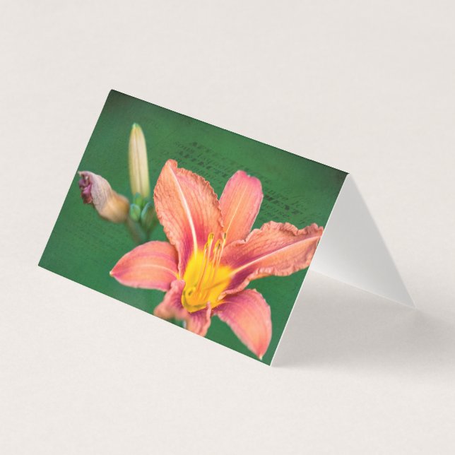 Orange Lily Blank Note Card (Front)