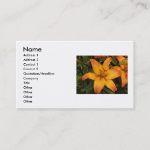 Orange Lily Business Card