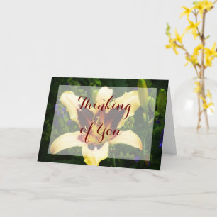 Orange lily card