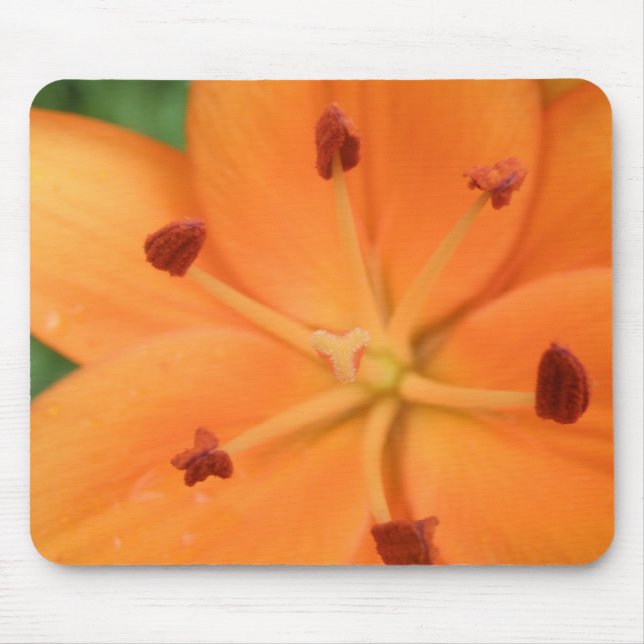 Orange Lily Floral Mousepad (Front)