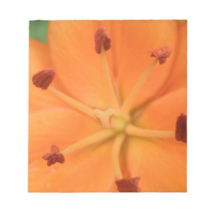 Orange Lily Floral Notepad