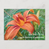 Orange Lily Flower Gift Thank You 