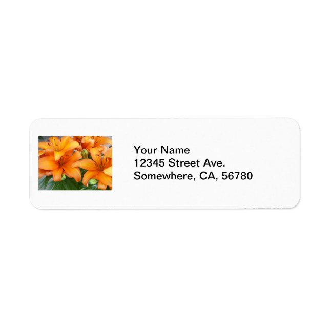 Orange Lily Flowers (Front)