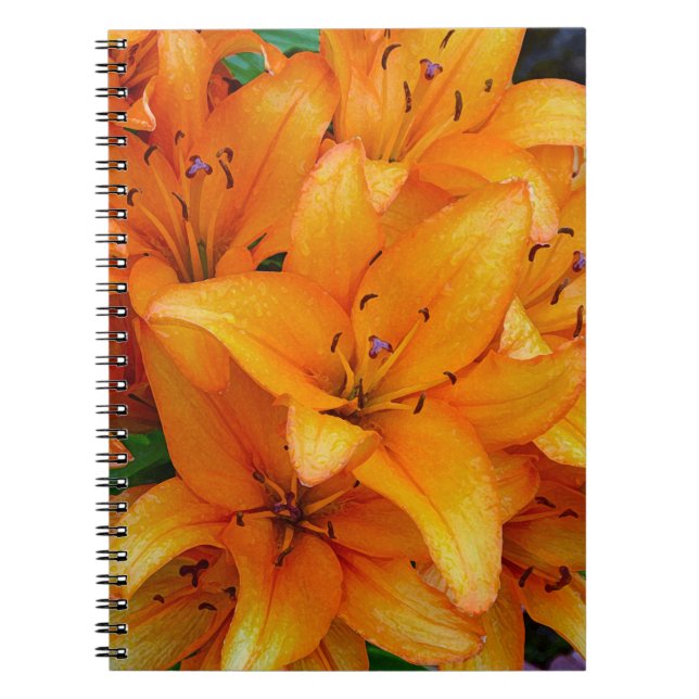 Orange lily flowers design notebook (Front)