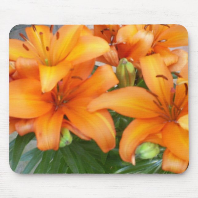 Orange Lily Flowers Mouse Pad (Front)